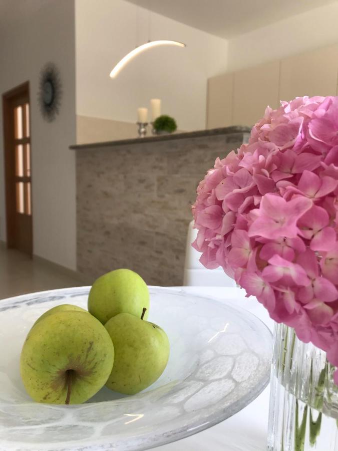Appartement House Pierro à Orašac Extérieur photo